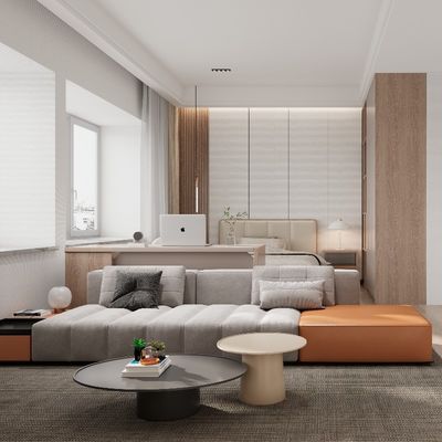 kaufen Unterstützung der Anpassung Moderne, stilvolle und praktische Wohnungsmöbel mit passenden Farbsofas online manufacture