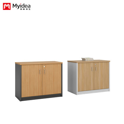 Double Door With Key Lock, Large Capacity Filing Cabinet, Wall Mounted Low Cabinet, Customizable Classified Filing Cabinet