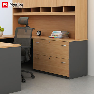 Rectangular Customizable Size Company Storage Cabinet Office Furniture Two-Layer Handle With Lock