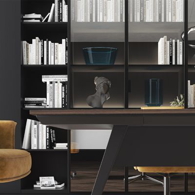 Dark Colored Large Storage Cabinet, Boss Space, Back Cabinet, Display Cabinet, Foshan Furniture