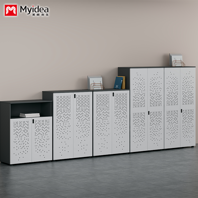 Steel Wood Combination Filing Cabinet, Filing Cabinet, Steel Cabinet Door, Triamine Board Cabinet Body